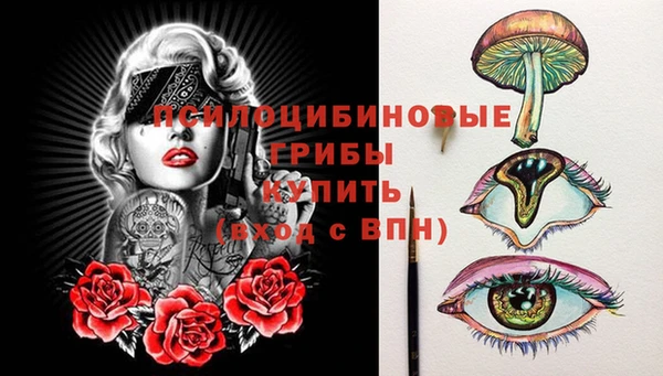 ГАЛЛЮЦИНОГЕННЫЕ ГРИБЫ Бугульма