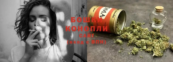 ECSTASY Вяземский