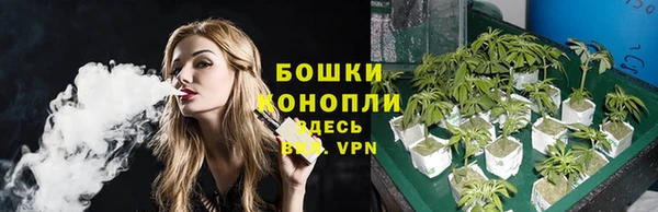 трава Вязьма